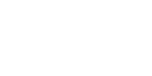 Porsche Logo